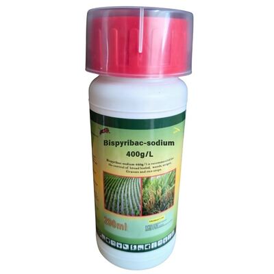مكافحة عشب الأرز: تركيز تعليق Bispyribac-sodium 400g/L SC (CAS: 125401-92-5) ، مبيد حشرات كاربوكسيلات بيريميدينيل عالي الكفاءة للزراعة.