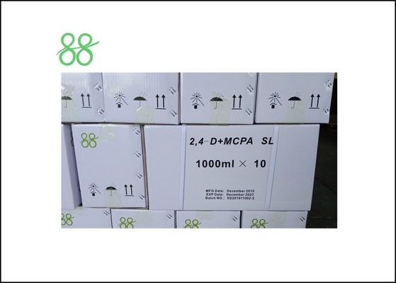CAS 23564 05 8 70٪ WP Thiophanate Methyl Fungicide