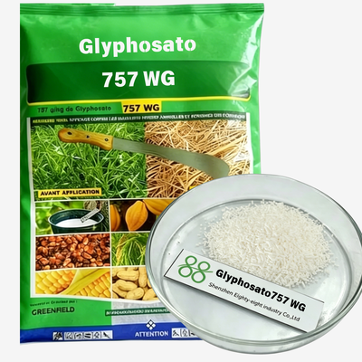 Glyphosate Series 360g/L 410g/L 480g/L 510g/L 620g/L SL, 74.7% WSG/WDG, 75.7% WG, 95% TC Non-selective Herbicide Weed Killer